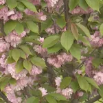 Μαγευτικό σκηνικό στα Τρίκαλα