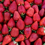 Φρούτα- λαχανικά- Πρώιμα και απλησίαστα