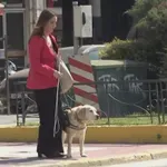 Εντοπίστηκε ο οδηγός ταξί που αρνήθηκε να επιβιβάσει τυφλή με τον σκύλο οδηγό της