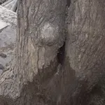 Διαρροή νερού στην Κυψέλη