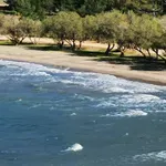 Ζέστη και μπουρίνια