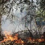 “Έβρεξε” πρόστιμα για καύση χόρτων και εργασίες στην ύπαιθρο