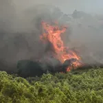 Φωτιά τώρα στην περιοχή Ντάρδεζα Κερατέας