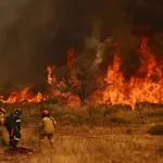 Δασική πυρκαγιά στο Φίλυρο Θεσσαλονίκης – Ήχησε το 112