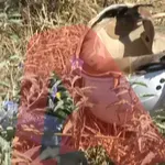 Θανατηφόρο τροχαίο για 15χρονη -Πραγματογνωμοσύνη για τις ευθύνες
