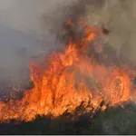 Πολύ υψηλός κίνδυνος πυρκαγιάς αύριο σε Κρήτη, Βόρειο και Νότιο Αιγαίο