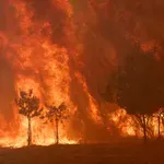 Πορτογαλία: Συναγερμός λόγω δασικών πυρκαγιών