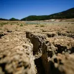Ολλανδία: Ζέστη και ξηρασία προκαλούν λειψυδρία στη χώρα
