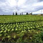 Δικό τους και με τη …Βούλα