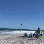 VIDEO: Pilot uhapšen nakon niskih preleta iznad plaže
