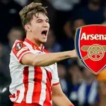 VELIKE VESTI! Arsenal zainteresovan za Zvezdin čudo!