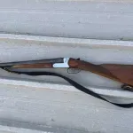 UP: Uhapšene tri osobe, jedna sinoć ustrijelila dva psa, pronađene puške u ilegalnom posjedu