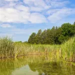 U ponedjeljak promjenljivo oblačno, popodne moguća kiša