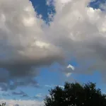 (VIDEO) Sjutra malo do umjereno oblačno, do 20 stepeni