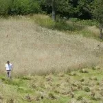 Stvoreni uslovi za investiranje 128 miliona u poljoprivredu