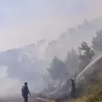 Cetinje: Tri požara danas zbog spaljivanja biljnog otpada