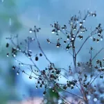 Pogoršanje vremena, biće kiše, grmljavine i snijega