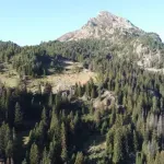 Nelegalno posječeno 100 kubika šume u nacionalnim parkovima