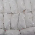 Holandska policija zaplijenila preko 3.000 kilograma kokaina i uhapsila osam osoba