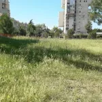 Apel Sekretarijata za komunalne poslove: Pokosite imanja