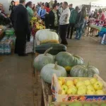 U Beranama sela proizvode hranu, ali je industrija zatajila