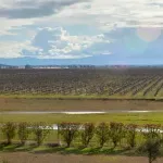 Plantaže prodaju zemljište vrijedno 12 miliona eura