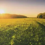 (VIDEO) Danas pretežno sunčano, do 23 stepena