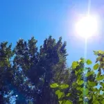 (VIDEO) Sjutra sunčano, do 21 stepen