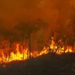Požar u Lješanskoj nahiji, kuće nijesu ugrožene