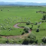 SO Nikšić između ekološke potrebe i pravnih dilema