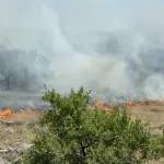 Ugašen požar u Lješanskoj nahiji, gori na Kučkim Koritima