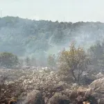 Služba zaštite i spasavanja: Na teritoriji opštine Danilovgrad nema aktivnih požara