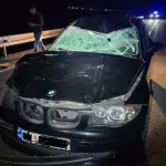 Udes na Obzovici: Automobil naletio na govedo, povrijeđena jedna osoba