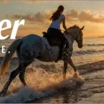 Crna Gora po prvi put u kampanji sa Warner Bros Discovery