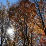 (VIDEO) Na jugu sunčani intervali, na sjeveru promjenljivo