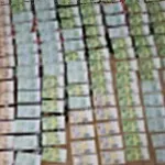 (FOTO/VIDEO) Uhapšen Zećanin, u vozilu pronađeno 25 kilograma marihuane