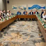 Regionalna liga u rukometu kreće od sezone 2027/2028