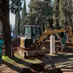 Zelenilo uređuje prostor kod KIC-a "Budo Tomović": Obnoviće i drvorede