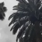 (VIDEO) Poslijepodne moguća kiša, do 21 stepen