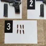 Ulcinjska policija oduzela dva pištolja bez odgovarajuće dokumentacije