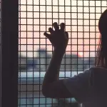 Preporuka Crnoj Gori: Zaštititi ranjive kategorije društva - trafikanti vrebaju žrtve na internetu