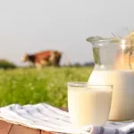 MPŠV: Za preradu viškova mlijeka 30 centi po litru