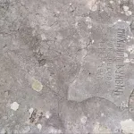 Prvi direktor nikšićke gimnazije - zaboravljen među grobovima, upamćen u istoriji