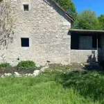 Na Vidrovanu medvjed usmrtio psa: Iščupao i vez i šarplaninca