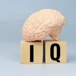 IQ 86 i vizuelni identitet na ceradi