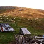 Berane: Pronađeno tijelo holandskog državljanina koji je juče nestao na Bjelasici