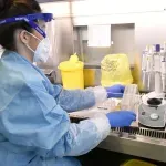 U Crnoj Gori hantavirus najčešće prenosi žutogrli miš
