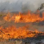 Požar "spržio" budžet, državu čekaju nove tužbe