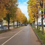 AMSCG: Na većini puteva u Crnoj Gori bez vanrednih ograničenja