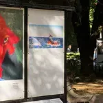 (VIDEO/FOTO) Likovni svijet između sna i stvarnosti